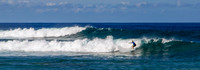 Lanai Surfer