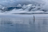 Yacht sailing past Lismore in early morning mist