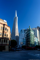 Transamerica Pyramid